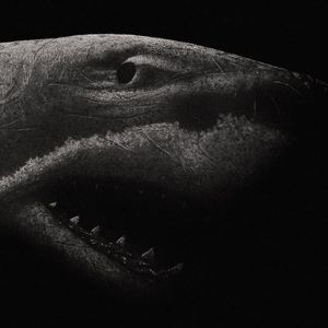 Meet your Posher, Trent